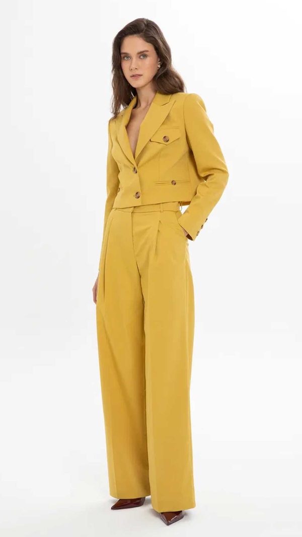 Yellow Ensemble with Cropped Jacket and Wide-Leg Pants